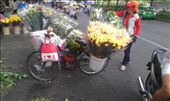 Flowers for sale at the market: by wendyandkevin, Views[457]