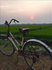 Sun rise over the rice fields: by wendyandkevin, Views[404]