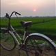 Sun rise over the rice fields: by wendyandkevin, Views[356]