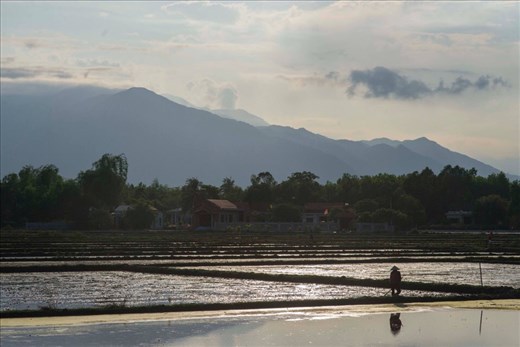 Preparing the rice fields for planting near the mountains