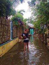 When it rains the lanes near owe home are flooded. : by wendyandkevin, Views[204]