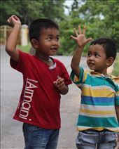 Cute cute cute: by wendyandkevin, Views[518]