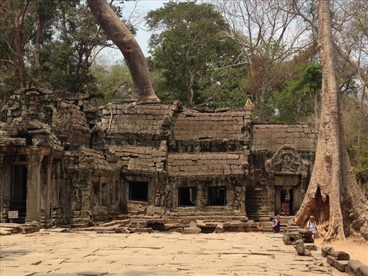 Angkor Wat Complex with Trees growing out of the ruins