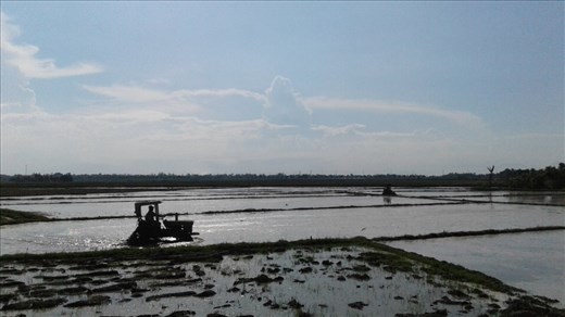 Fields being pepared for next rice crop to be planted. On way to AnBang. 
