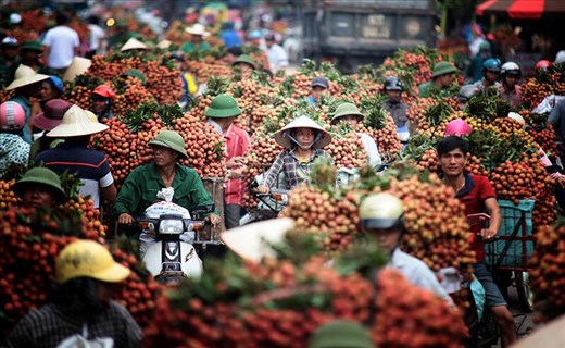 Fruit going to market