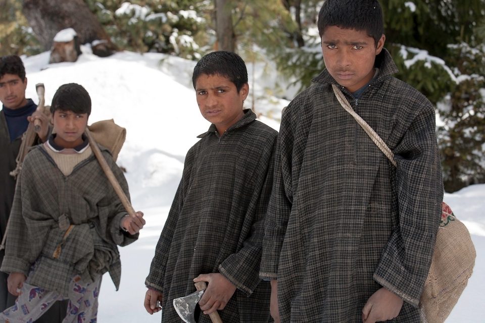 Young woodcutters travel along snowy mountain paths in search of dry fuel for their homes. Whether or not Gulmarg succeeds will have a huge impact on their lives.