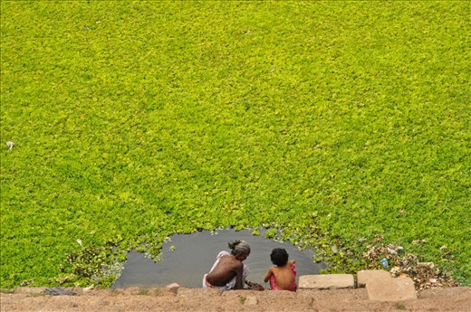 At midday, a lake full of lotus leafs where a grandmother teaches a girl to clean sarees