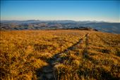 The golden trail wraps around the summit of Whitetop Mountain (VA).: by weswilson247, Views[292]