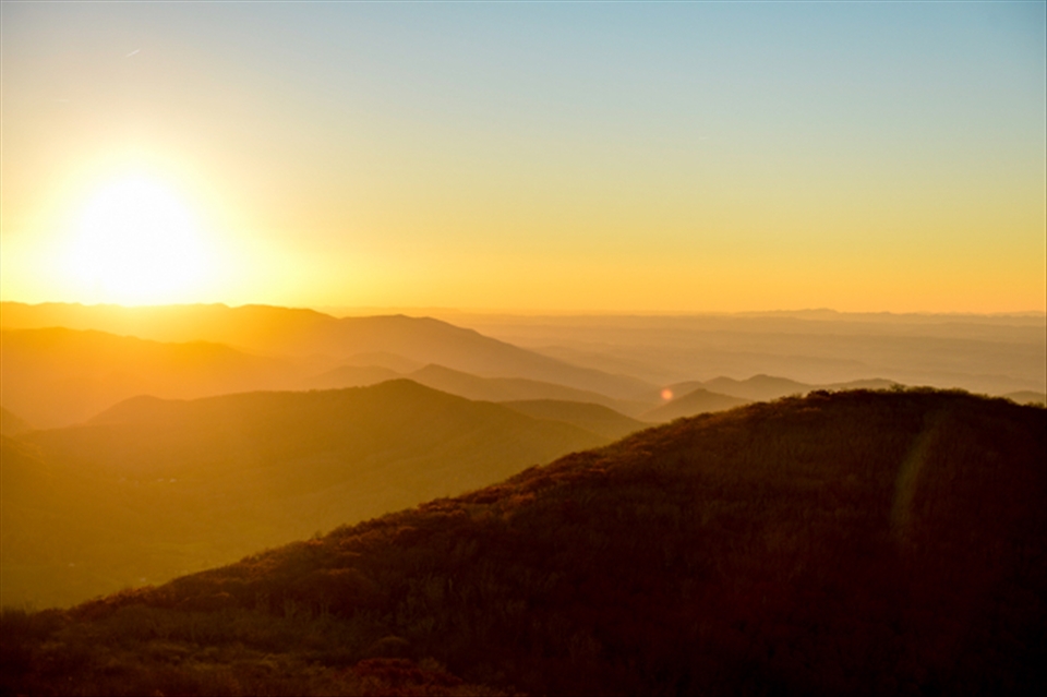 Golden Fall colors explode across Whitetop Mountain, Virginia.