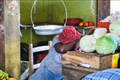 a vendor sleeps in the middle of the cabbage in the local market: by wfotox, Views[204]