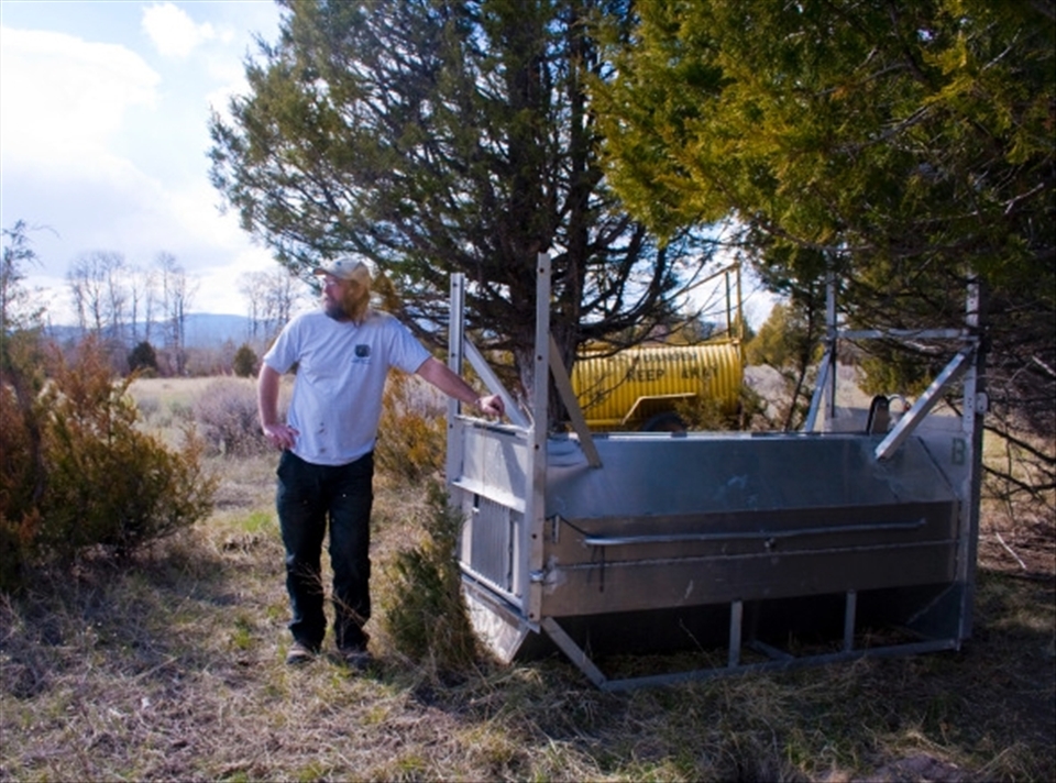 Taking in the alpine grassland surroundings after setting up two bear covert traps to catch a 