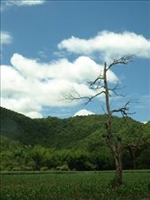 Somewhere at Kanchanaburi, 