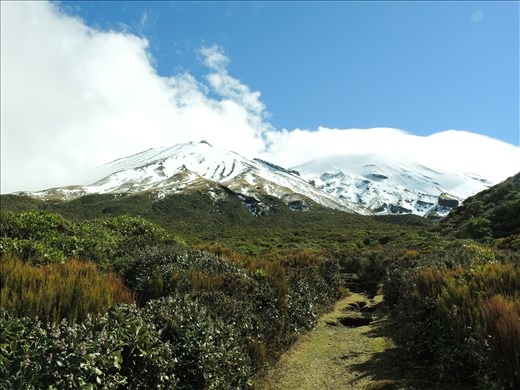 Adventure begins as our trails heads up to the snow on Mt. Taranaki.