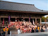 Two teams of young men, wearing loin clothes, barge into Shitennoji temple.: by wherenextjapan, Views[257]