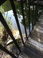 by wheresmypants, Views[173]