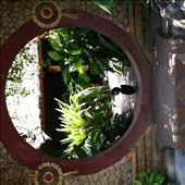 by wheresmypants, Views[133]