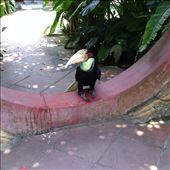 by wheresmypants, Views[133]