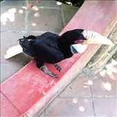 by wheresmypants, Views[136]