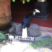 by wheresmypants, Views[193]