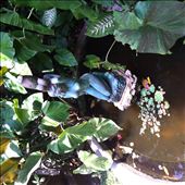 by wheresmypants, Views[160]