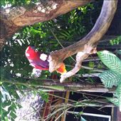 by wheresmypants, Views[140]