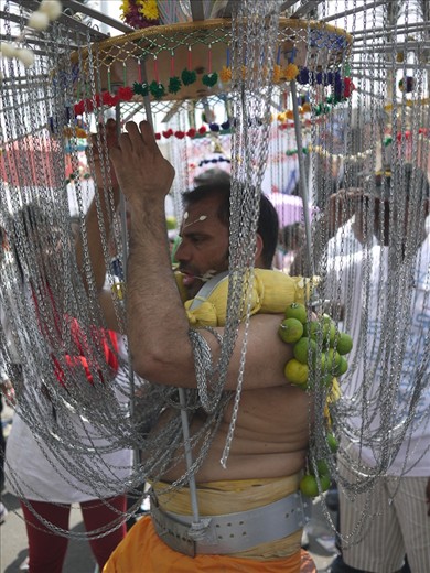 Some carry enormous alters made of wood and metal and adorned with peacock feathers, these are also attached to the skin through small hooks. As well as constantly reminding the devotee of Lord Mururan a spear through the cheeks and tongue prevent any cries of suffering.