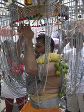 Some carry enormous alters made of wood and metal and adorned with peacock feathers, these are also attached to the skin through small hooks. As well as constantly reminding the devotee of Lord Mururan a spear through the cheeks and tongue prevent any cries of suffering.: by wheresphil, Views[532]