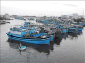 harbour Nha Trang: by whimsicalwonderer, Views[240]
