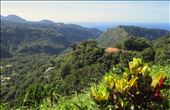 Lush Dominica: by whitjmunro, Views[213]