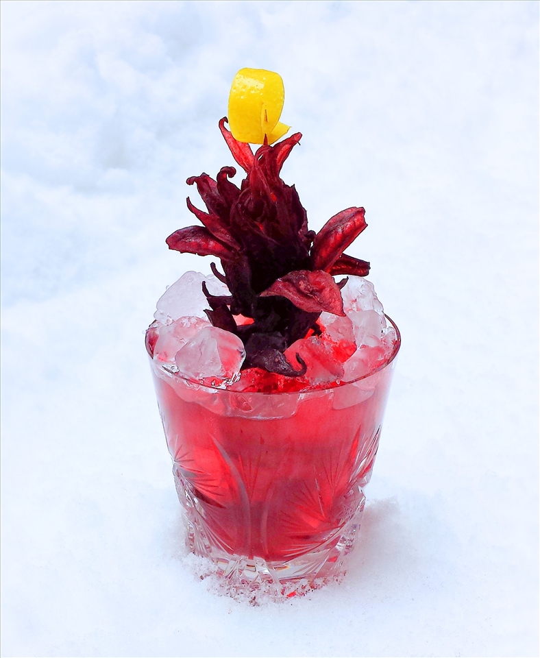 Sorrel in the Canadian Winter