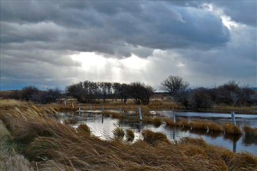 This is a winter day near the mighty Canadian Rocky Mountains, AB