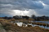 This is a winter day near the mighty Canadian Rocky Mountains, AB: by wide-eyednomad, Views[286]