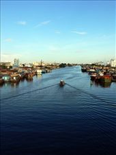 by widihart, Views[325]