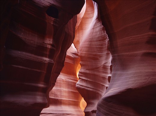 We are in Wonderland Alice