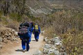 The Chaskis (porters) carry provisions and tents for trekkers on the Inca Trail to the lost city of Machu Picchu in the Peruvian Andes. The small stature of these men belies their strength – they carry loads of over 30kg and climb nimbly up and down the mountain sides at high altitude. They are the descendants of highly trained runners (also called Chaskis) who used the extensive network of roads built by the Inca to deliver messages throughout the vast empire: by wijew, Views[1212]