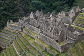 Winaywayna, reached on the third day along the Inca trail, is a stunning Inca site consisting of residential areas, fountains, stairways and agricultural terraces. It sits on a steep slope high above the Urubamba River.   : by wijew, Views[600]
