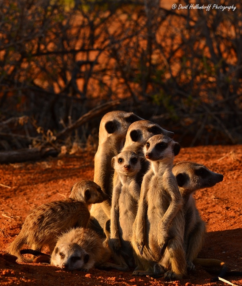 Yet families find a castle to call their own out in the magistic Kalahari