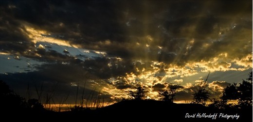 Sunrise Kalahari, the Kalahari is a warm yet magical place filled with life.