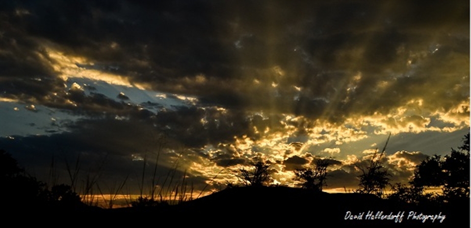Sunrise Kalahari, the Kalahari is a warm yet magical place filled with life.