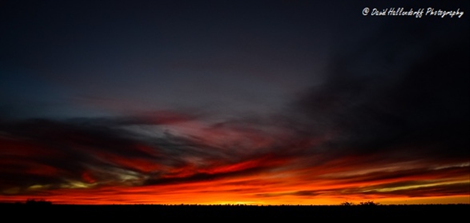 The day comes to an end, & lifes battle carrys on into the cold Kalahari night. 