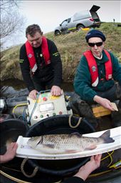 by wildlifejack, Views[218]