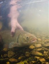 by wildlifejack, Views[248]