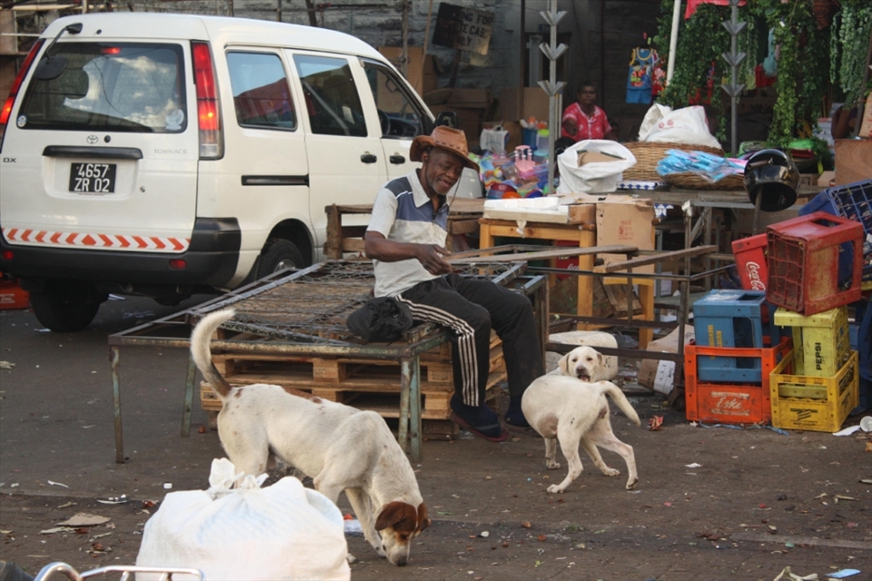 Serendipity of the best friends makes every moment joyful