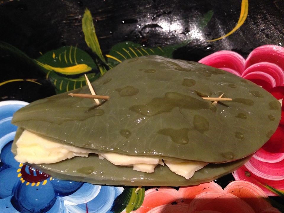 Cactus cheese sandwich with secured tooth picks