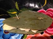 Cactus cheese sandwich with secured tooth picks: by wildtastebud, Views[272]