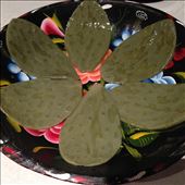 Cleaned cactus : by wildtastebud, Views[272]