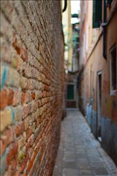 Venetian architecture and design, though visually breathtaking, can also be a confronting aspect of the city. As if designed by someone equally brilliant and mad, the narrow pathways form an intricate maze. Hidden alleys seem to fold in upon you, their bricks covered in centuries of paint, grit and weather. They are a constant reminder of the ancient properties of this unique place.: by will_eades, Views[275]