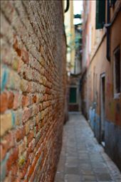 Venetian architecture and design, though visually breathtaking, can also be a confronting aspect of the city. As if designed by someone equally brilliant and mad, the narrow pathways form an intricate maze. Hidden alleys seem to fold in upon you, their bricks covered in centuries of paint, grit and weather. They are a constant reminder of the ancient properties of this unique place.: by will_eades, Views[199]