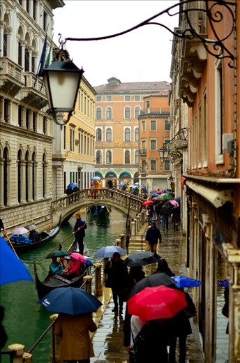 Venice is one of Europe's biggest tourist destinations. A brief walk and several bridges later and you may literally pass thousands of people. Rain, hail or shine, the tourists worm their way into every corner of the city. If you finally get sick of bumping shoulders, or become hopelessly lost, you can always jump in a Gondola.