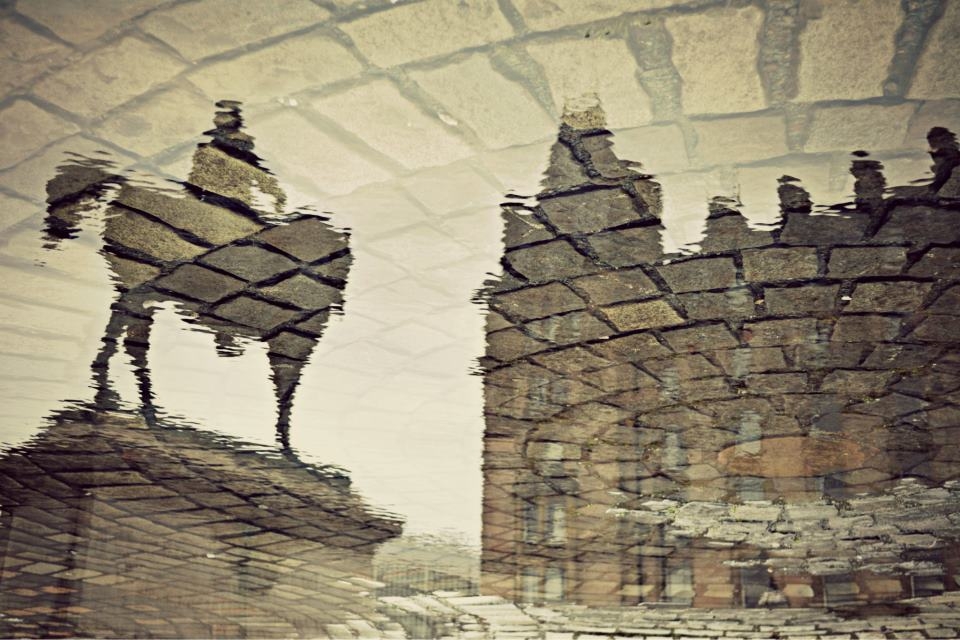 Spotted this photograph opportunity in a puddle.